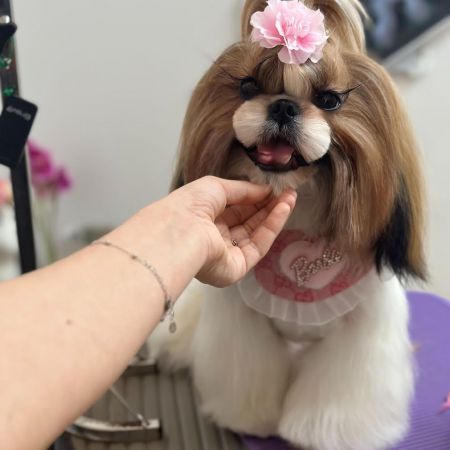 art-grooming-da-elena