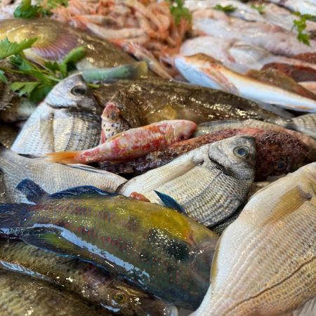 pescheria-lanzilotti