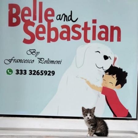 belle-and-sebastian