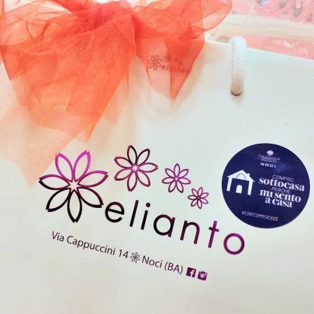 elianto-noci-bigiotteria-pelletteria-make-up-viso-corpocapelli