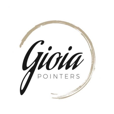 gioia-pointers