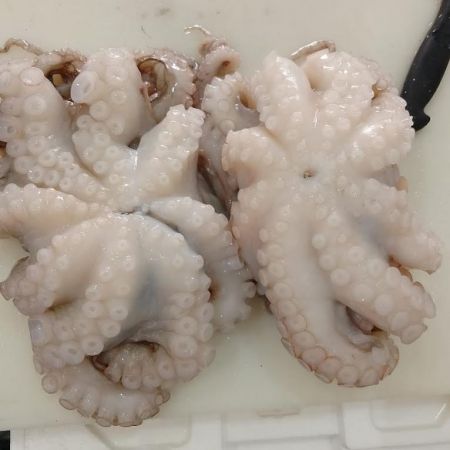 pescheria-gastronomia-sant-elena