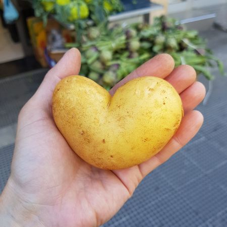 le-delizie-dell-orto