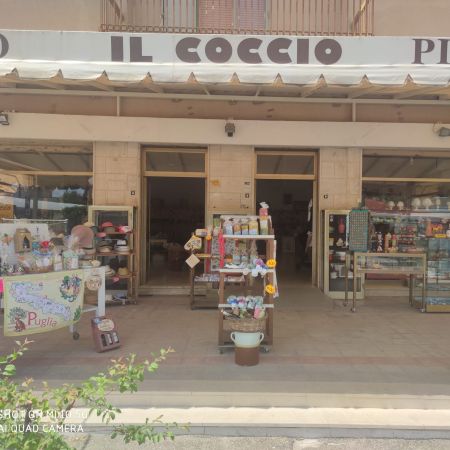 il-coccio
