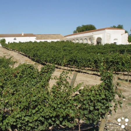 azienda-agricola-biologica-alberto-longo