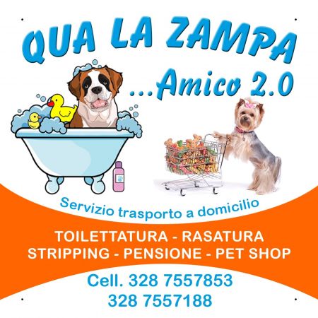 qua-la-zampaamico-20