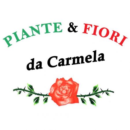 piante-e-fiori-da-carmela