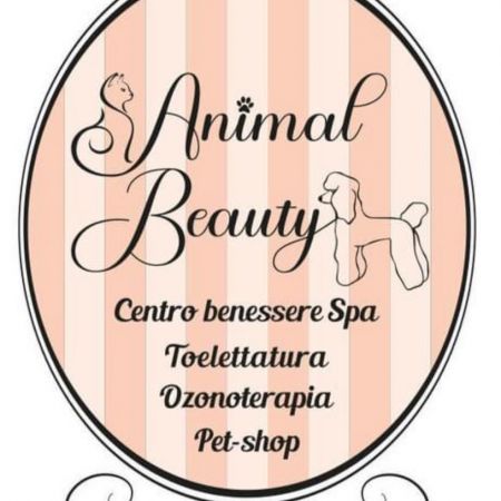 animal-beauty