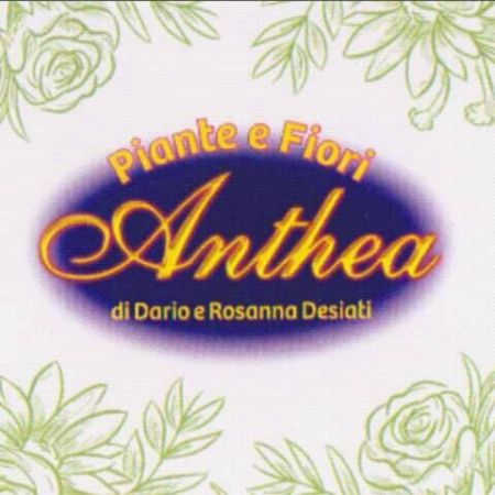 anthea-fiori