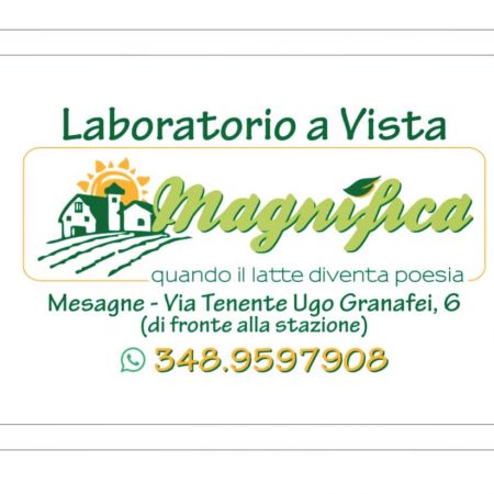 laboratorio-magnifica