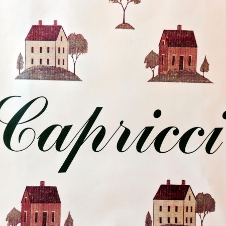 capricci-abbigliamento-0-16