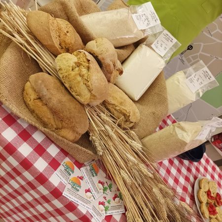 i-sapori-della-terra