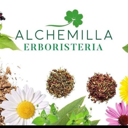 alchemilla-erboristeria