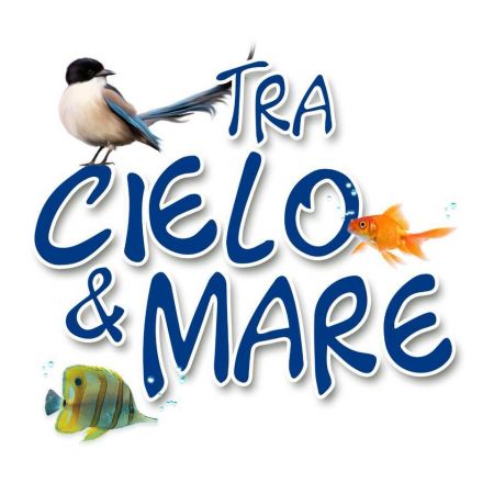 tra-cielo-e-mare
