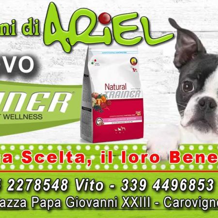 i-giardini-di-ariel-negozio-di-articoli-per-animali