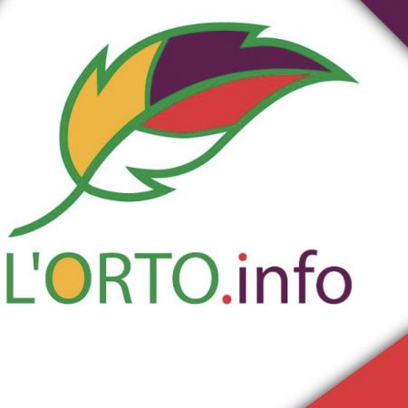 l-ortoinfo
