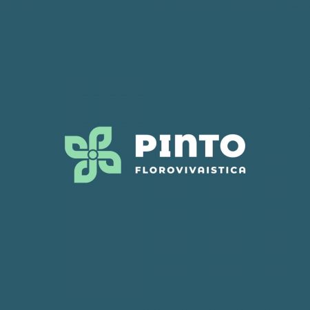 pinto-florovivaistica