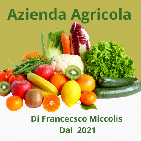azienda-agricola-miccolis