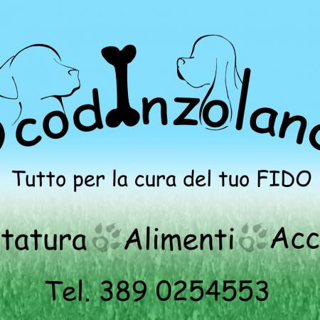 scodinzolando